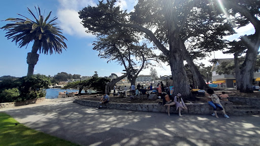 A sunny day in the park with people enjoying the outdoors under the shade of trees.