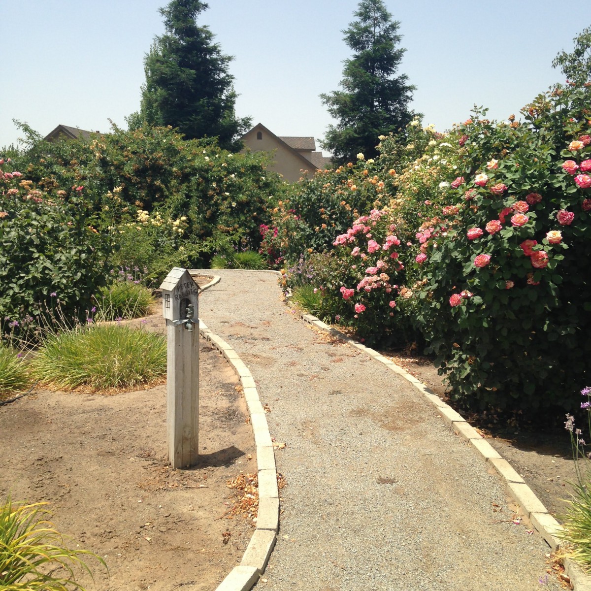 Evergreen Gardens