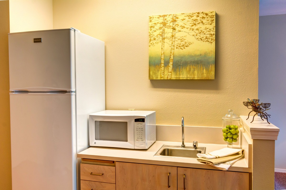 A cozy kitchen nook with a refrigerator, microwave, and sink beneath a serene landscape painting.