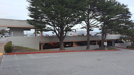 A view of a parking structure nestled among tall trees under a cloudy sky.