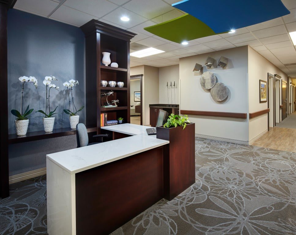 Modern reception area with a sleek desk and decorative elements.