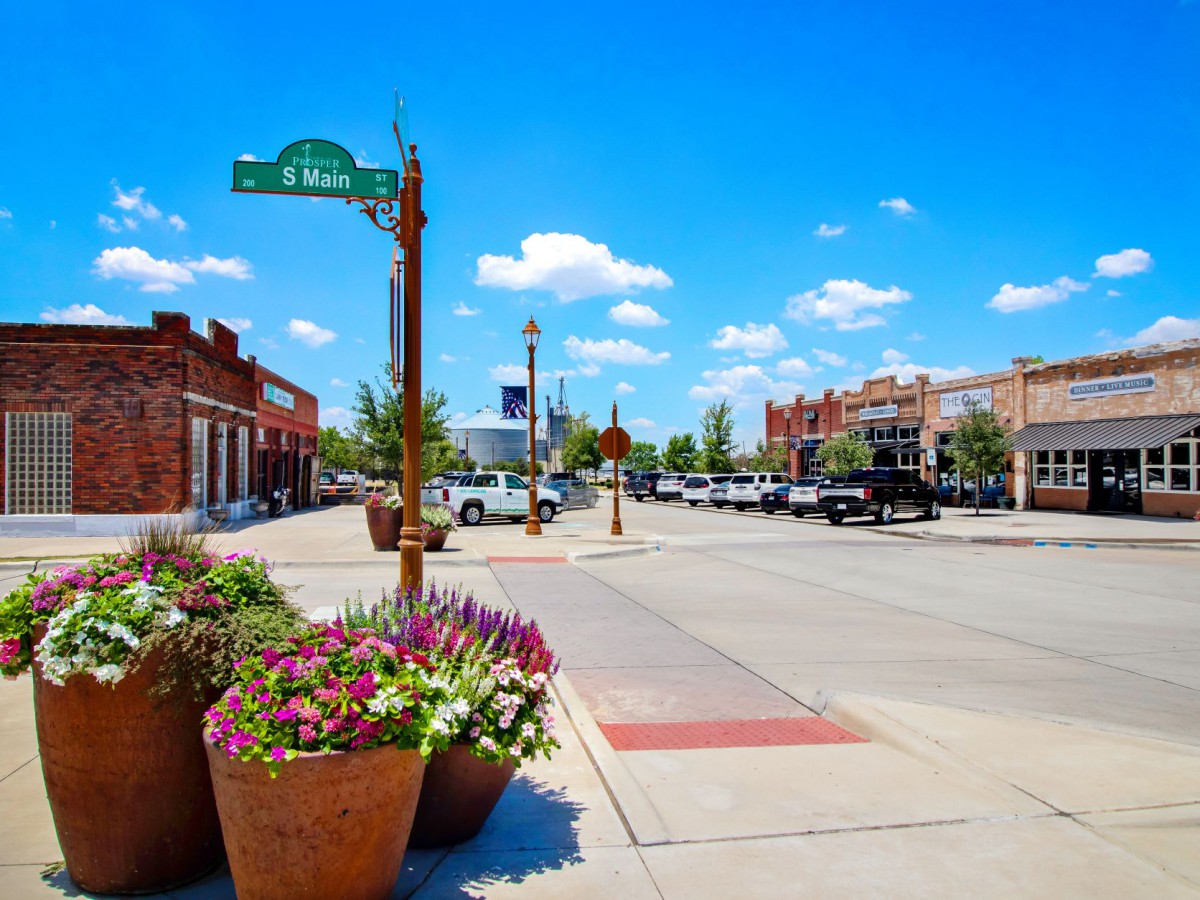 A sunny day on a lively street with colorful flowers and parked cars.