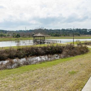 A scenic view of a lake with a wooden dock and surrounding greenery.