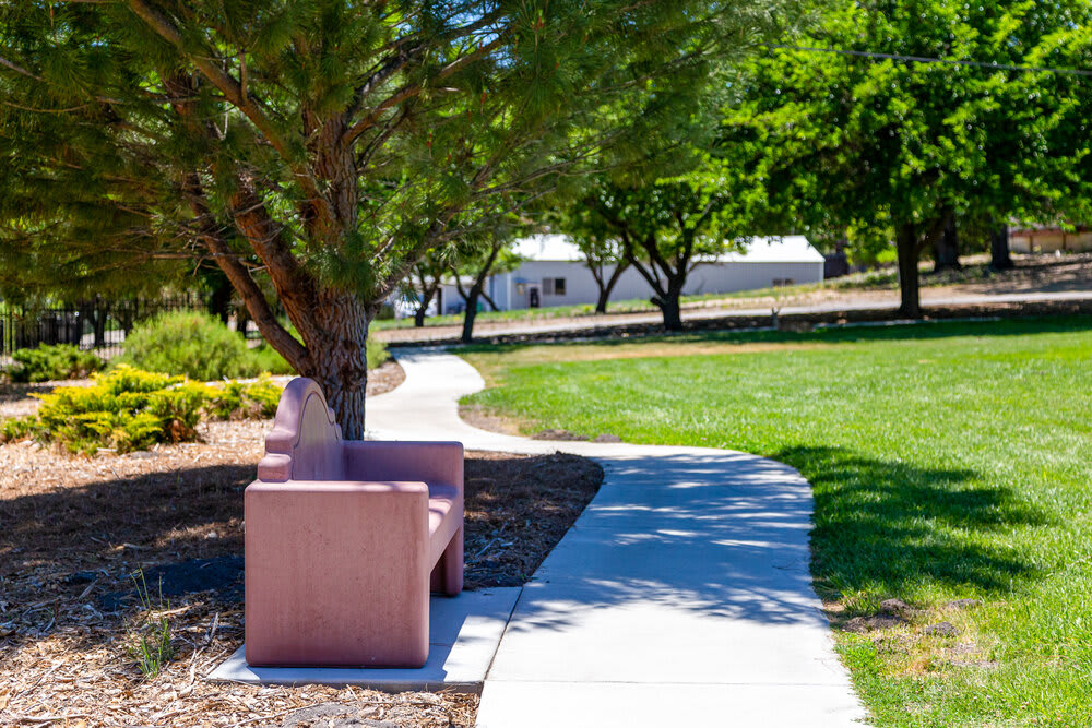 A peaceful park scene with a winding pathway and a bench under the shade of trees.