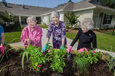 Country Place Senior Living of Athens