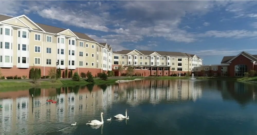 A serene view of apartment buildings by a lake with swans gliding on the water.