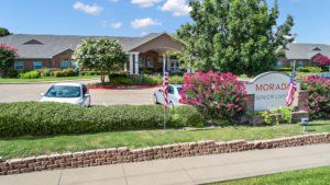 A landscaped entrance to a building with trees and cars parked in the driveway.