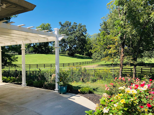 A serene view of a lush garden with a pergola, showcasing vibrant flowers and a picturesque green landscape.