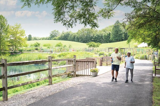 A serene walk along a picturesque pathway beside a tranquil water body, surrounded by lush greenery.