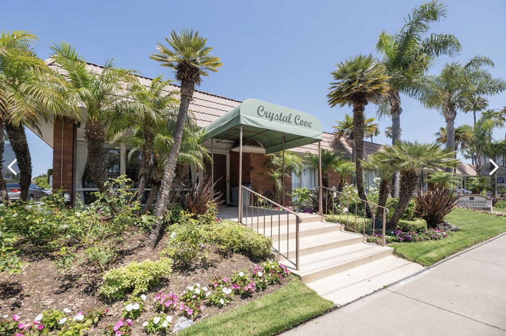 A sunny building entrance with palm trees and landscaped garden.
