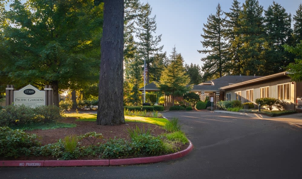 A scenic view of a road lined with tall trees and buildings in the background.