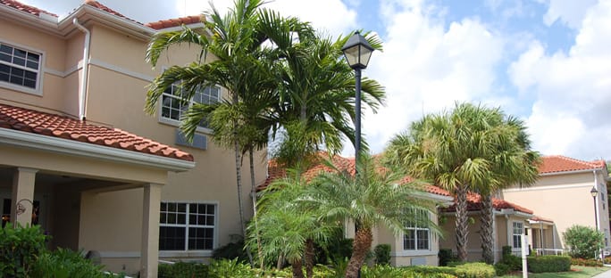 A residential house surrounded by lush palm trees and greenery.