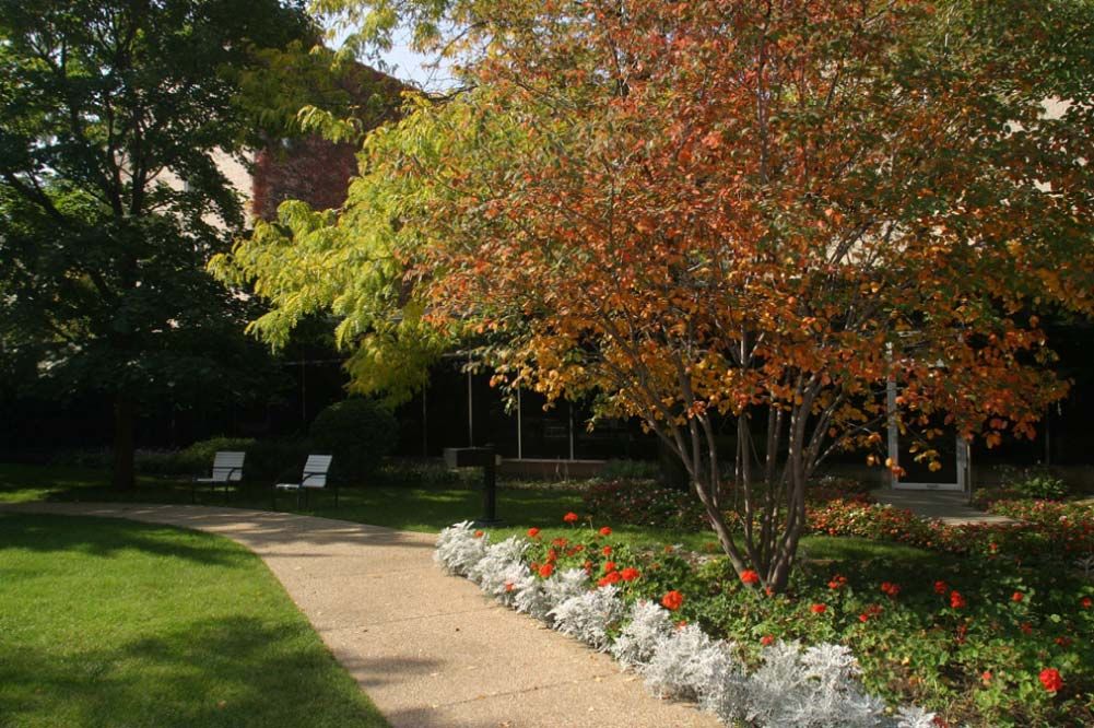 A serene garden scene with autumn foliage and a flower-lined pathway.