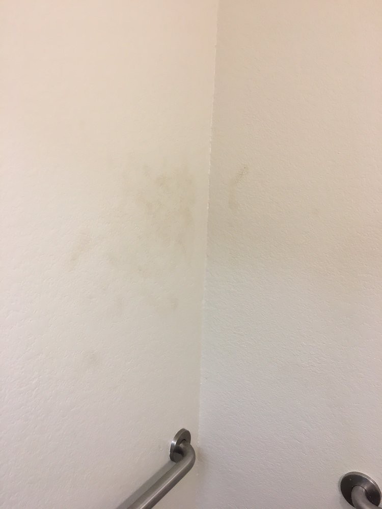 A corner of a wall with visible stains and mold growth.