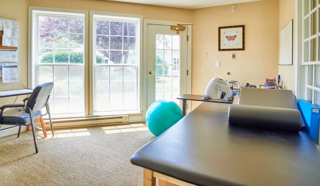 A bright exercise room with a yoga ball and fitness equipment near large windows.
