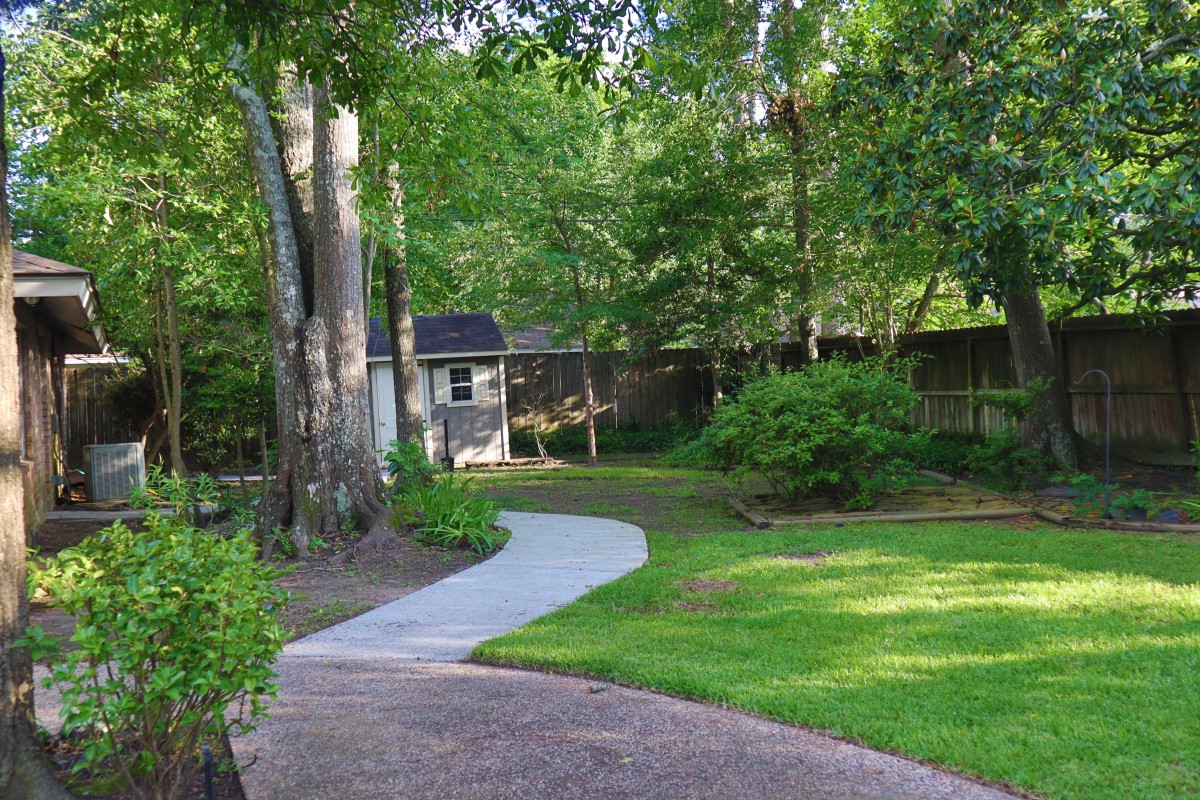 Extended Senior Care Services