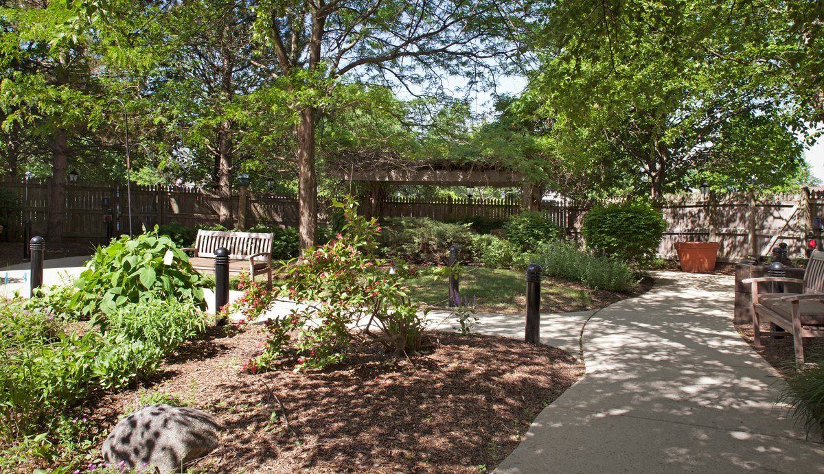 A tranquil garden scene with a pathway surrounded by lush trees and shrubbery.