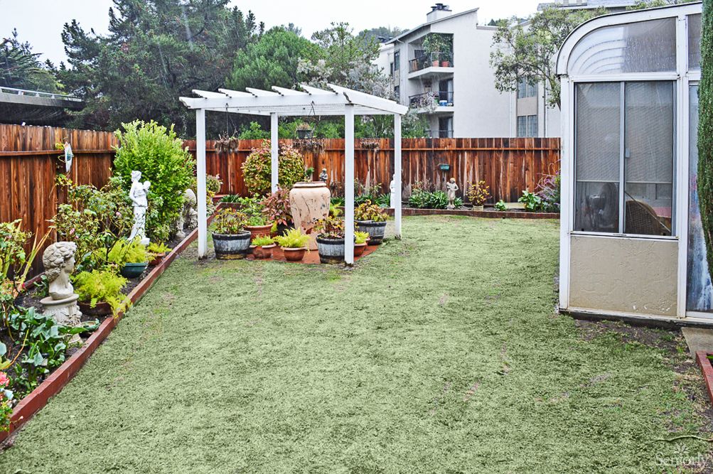 A well-maintained garden with a pergola, surrounded by plants and a wooden fence.