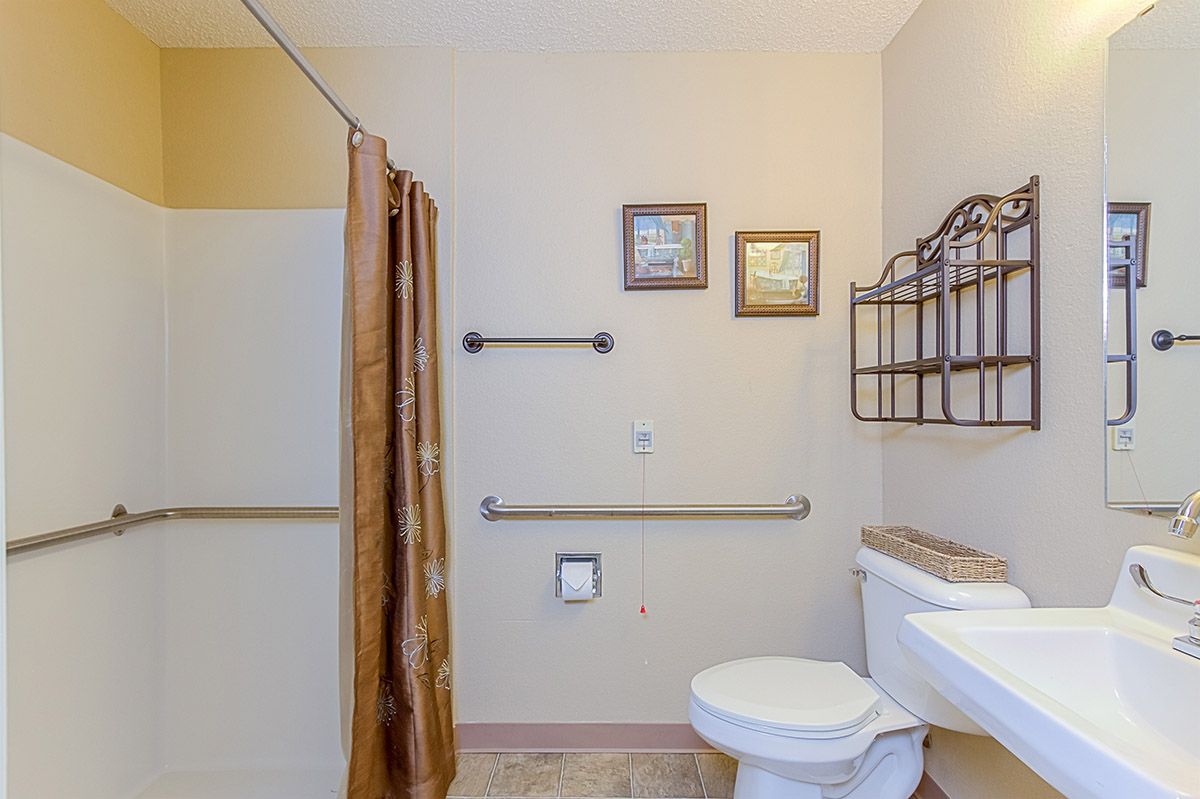 A well-organized bathroom with safety grab bars and decorative elements.