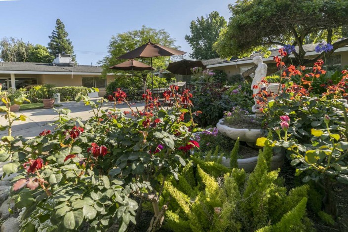 A lush garden with vibrant flowers and a decorative fountain on a sunny day.