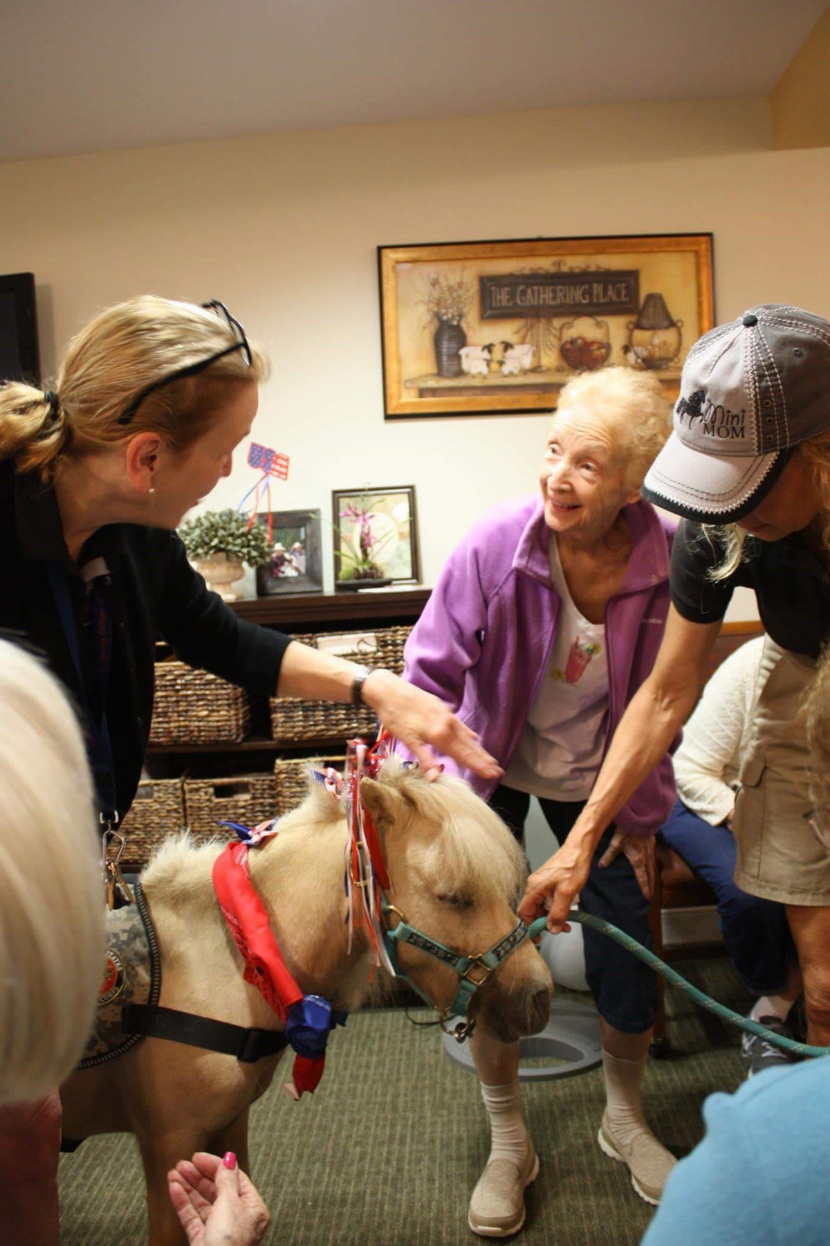 Elderly individuals happily interacting with a miniature therapy horse indoors.