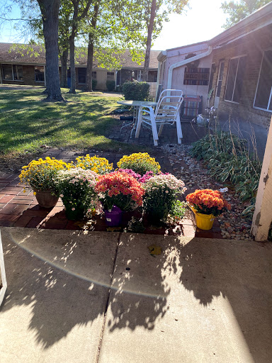 A vibrant display of potted flowers on a sunny day in the garden.