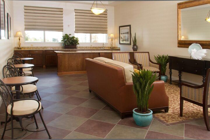 Cozy living room with a brown sofa, indoor plants, and large windows.