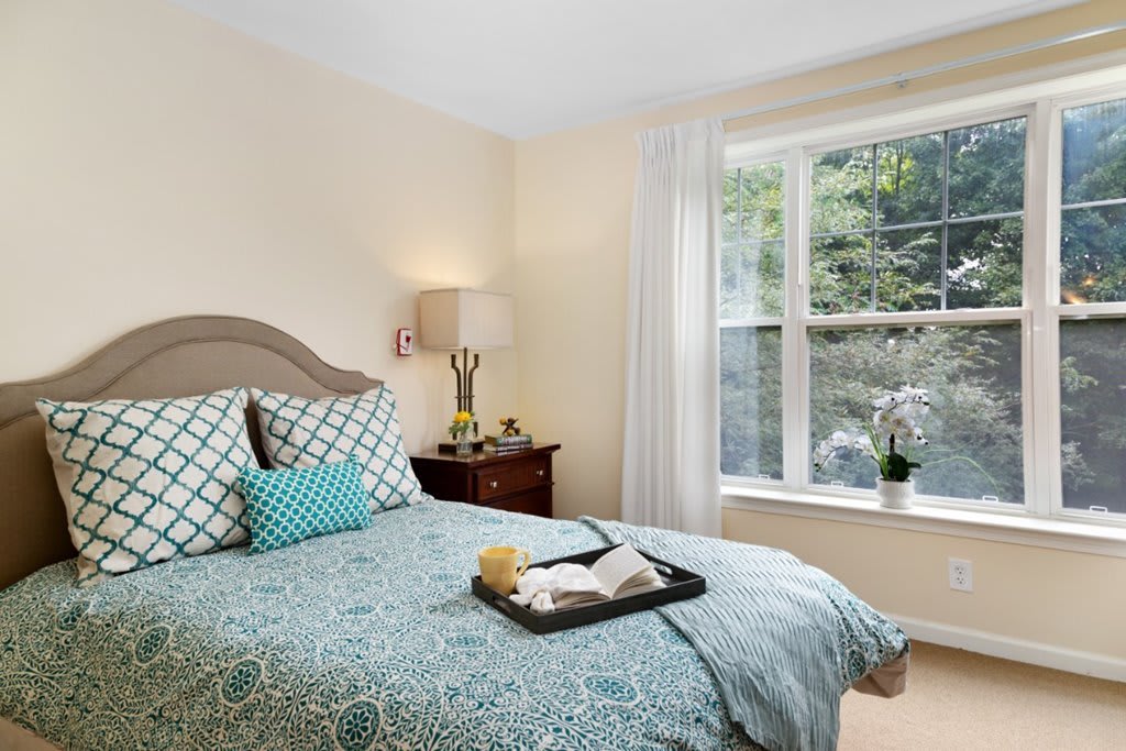 A cozy bedroom with a neatly made bed, decorative pillows, and a bedside lamp, featuring a large window that lets in natural light.