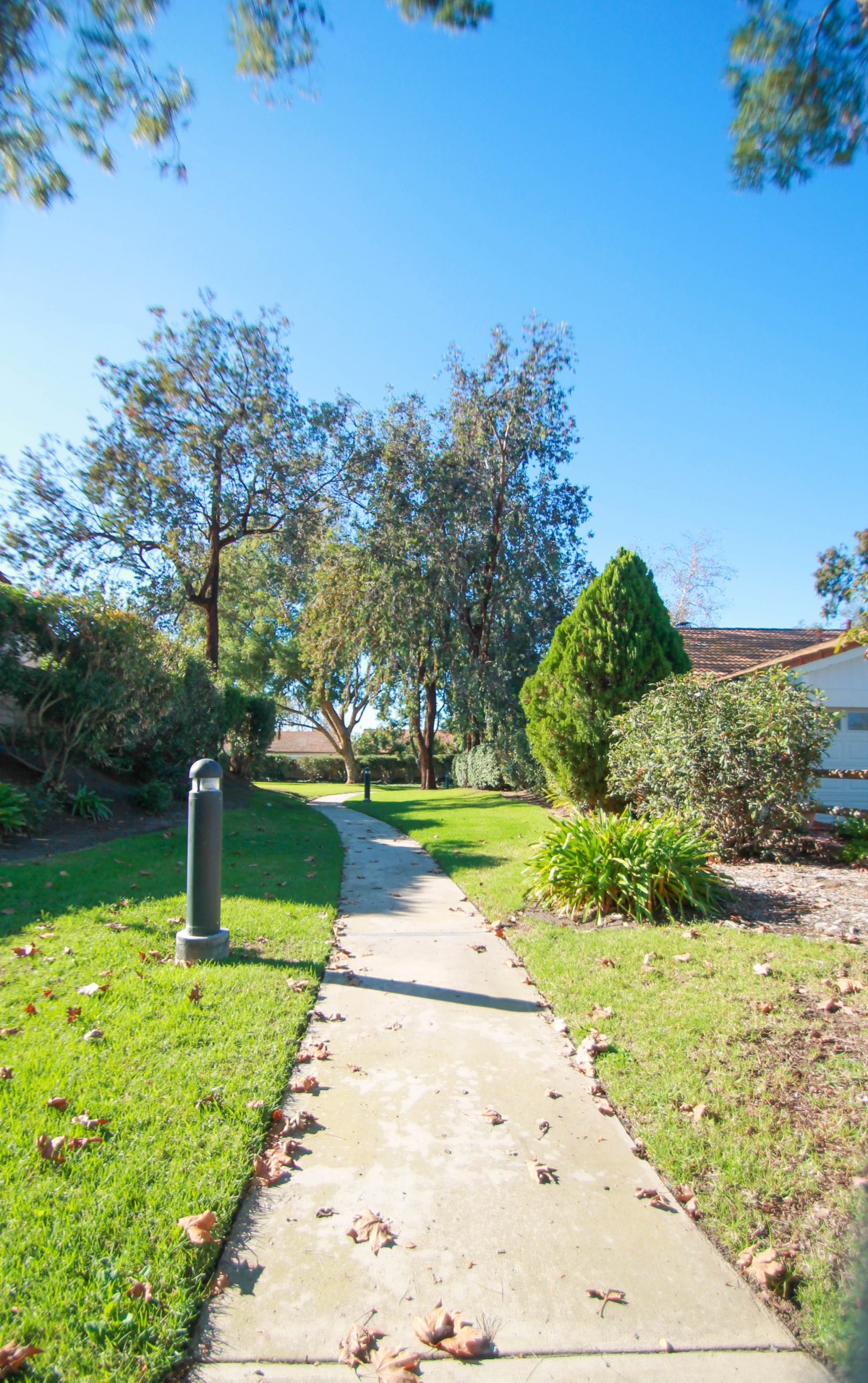 A scenic pathway surrounded by lush greenery and trees leading to a house.