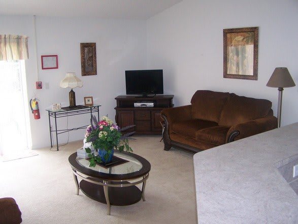 A cozy living room featuring a brown sofa, a glass-top coffee table with a plant centerpiece, and a television on a wooden stand.