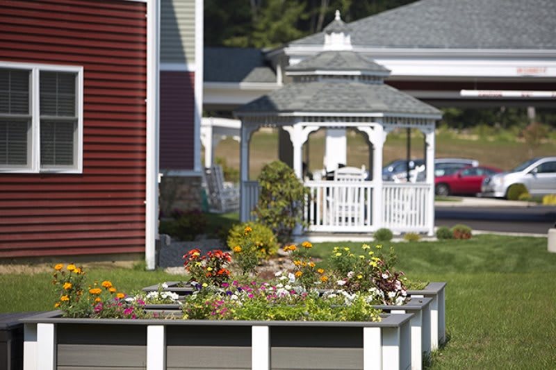 A beautiful garden with vibrant flowers and a white gazebo in the background.