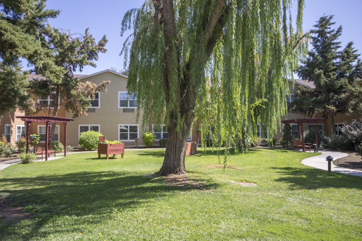 Truewood by Merrill,  Clovis
