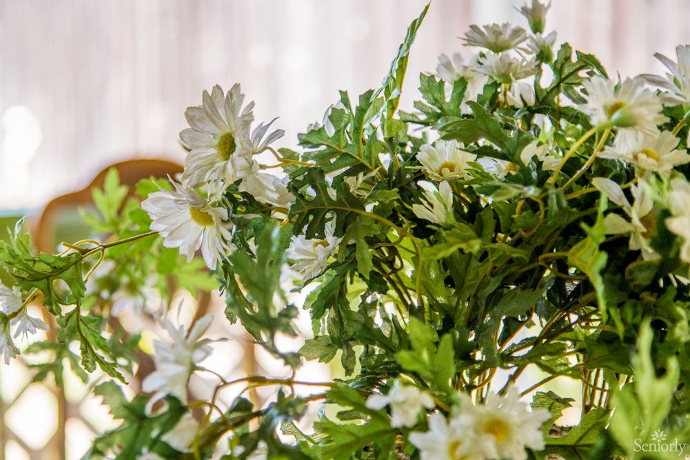 A close-up view of a bouquet featuring white daisies and lush green leaves.