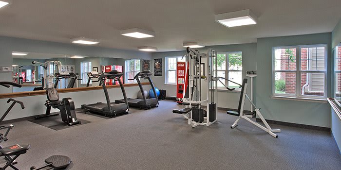 A well-equipped gym featuring multiple treadmills and exercise machines.