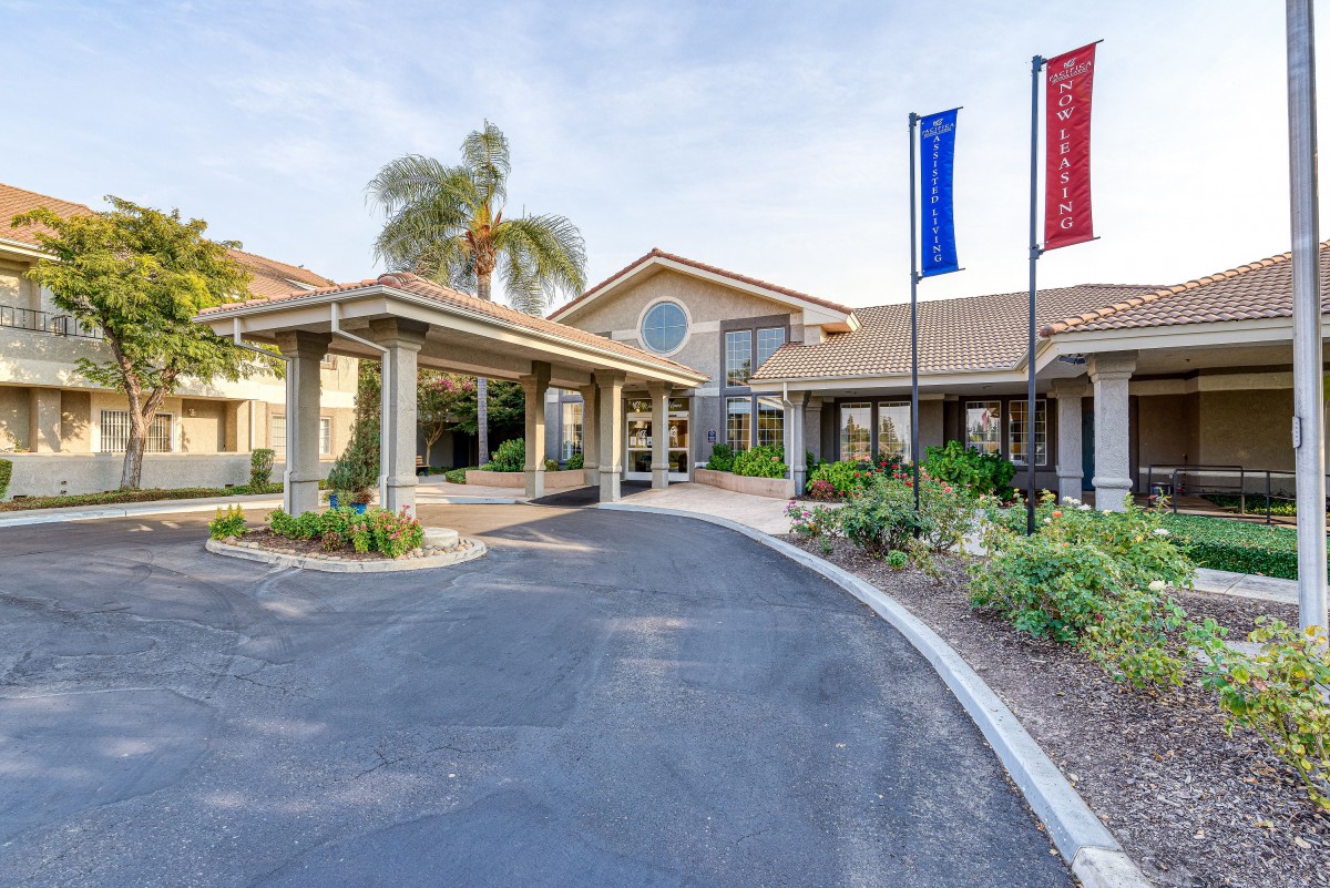 A welcoming entrance to a building with flags, surrounded by well-maintained landscaping and a palm tree.