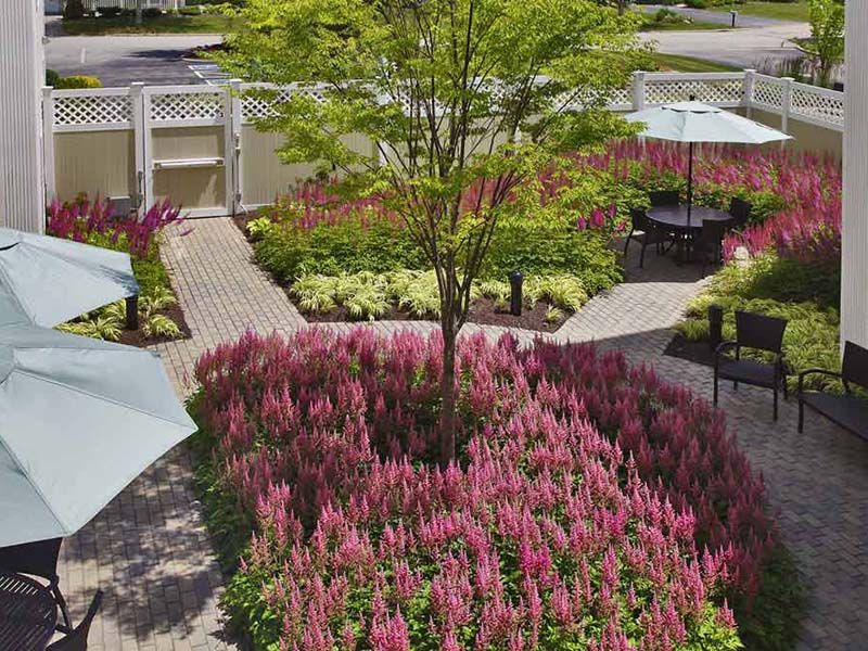 A beautifully landscaped garden featuring pink flowers surrounding a tree with outdoor seating areas.