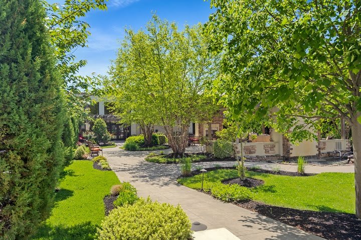 A beautifully landscaped garden with a winding pathway surrounded by lush trees and greenery.