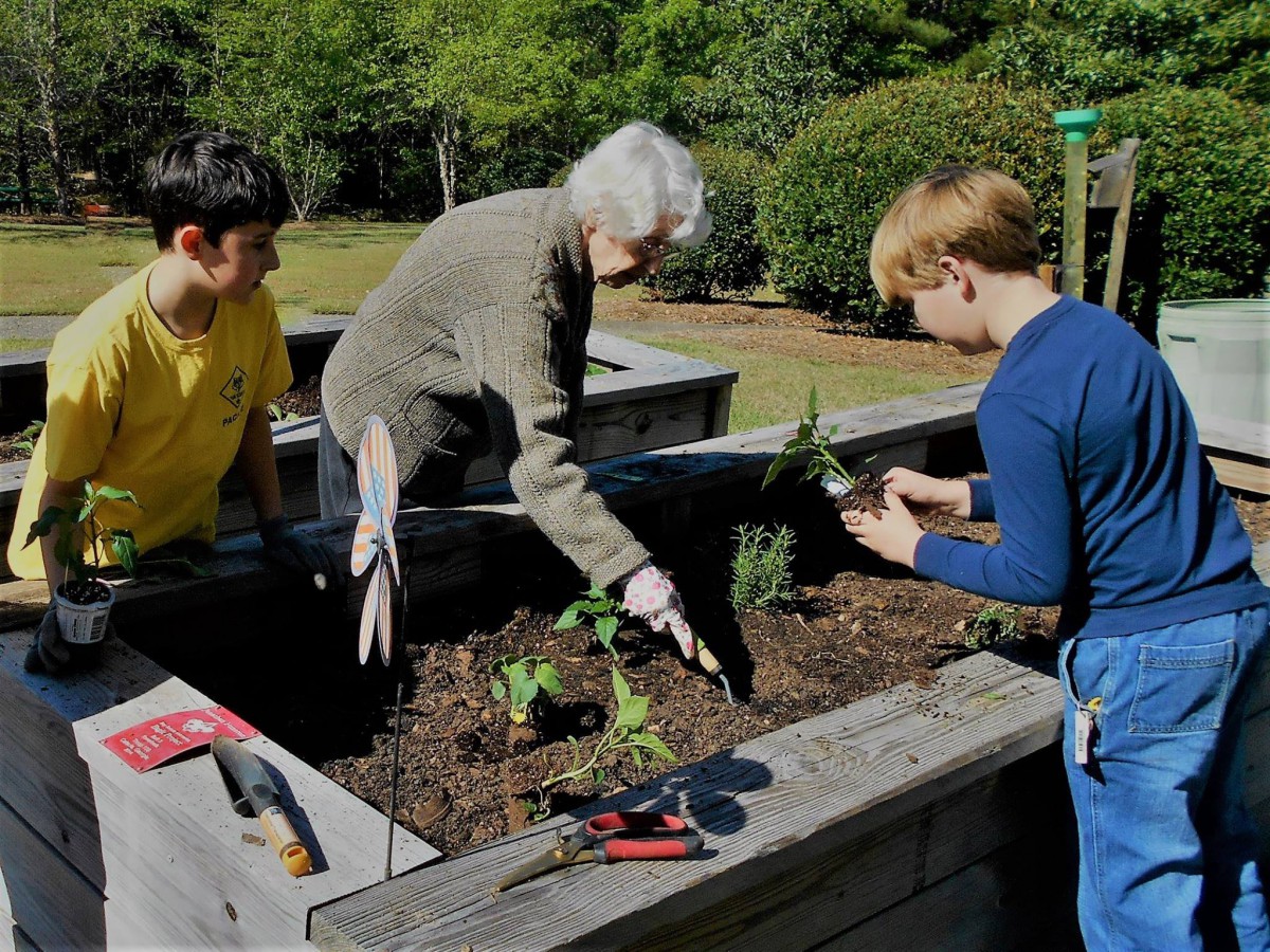 A group of people working together in a garden, planting seedlings in a raised bed.