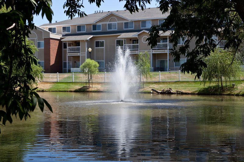 A fountain in a pond with a building in the background, framed by trees.
