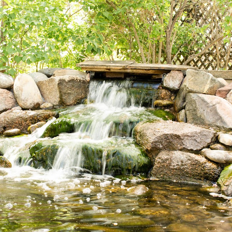 A serene backyard waterfall flows over rocks into a small pond, surrounded by lush greenery.