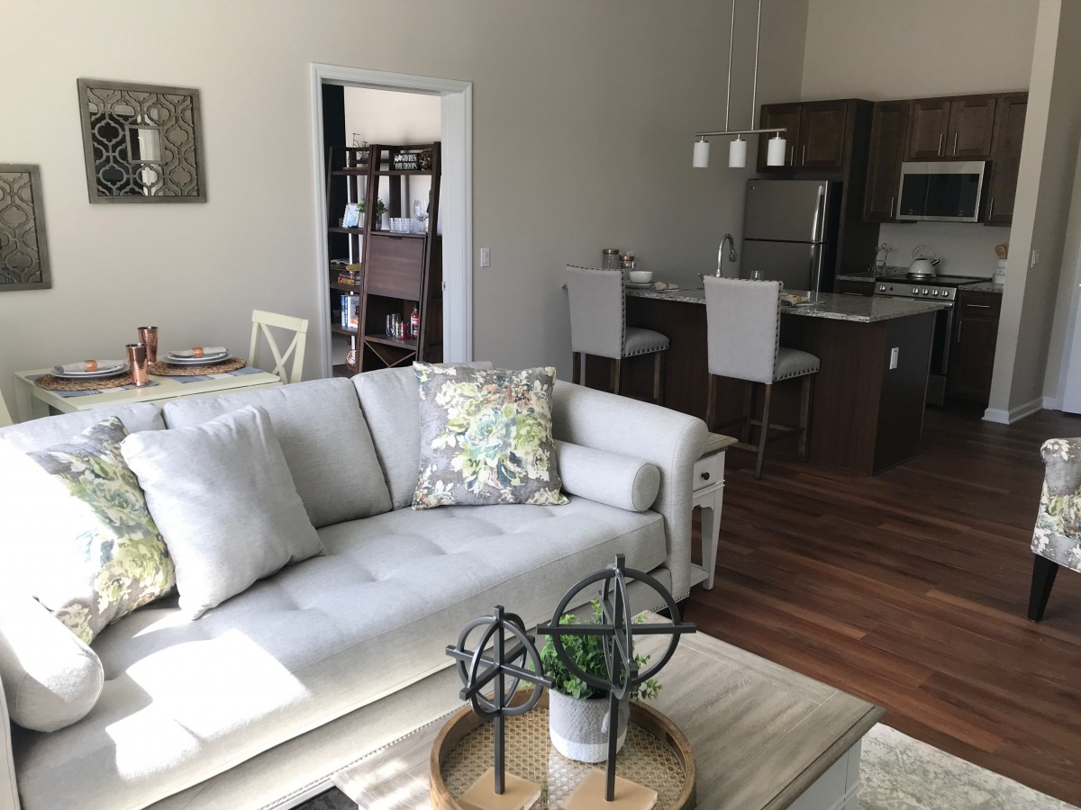 Modern open-concept living room and kitchen area with stylish furnishings.