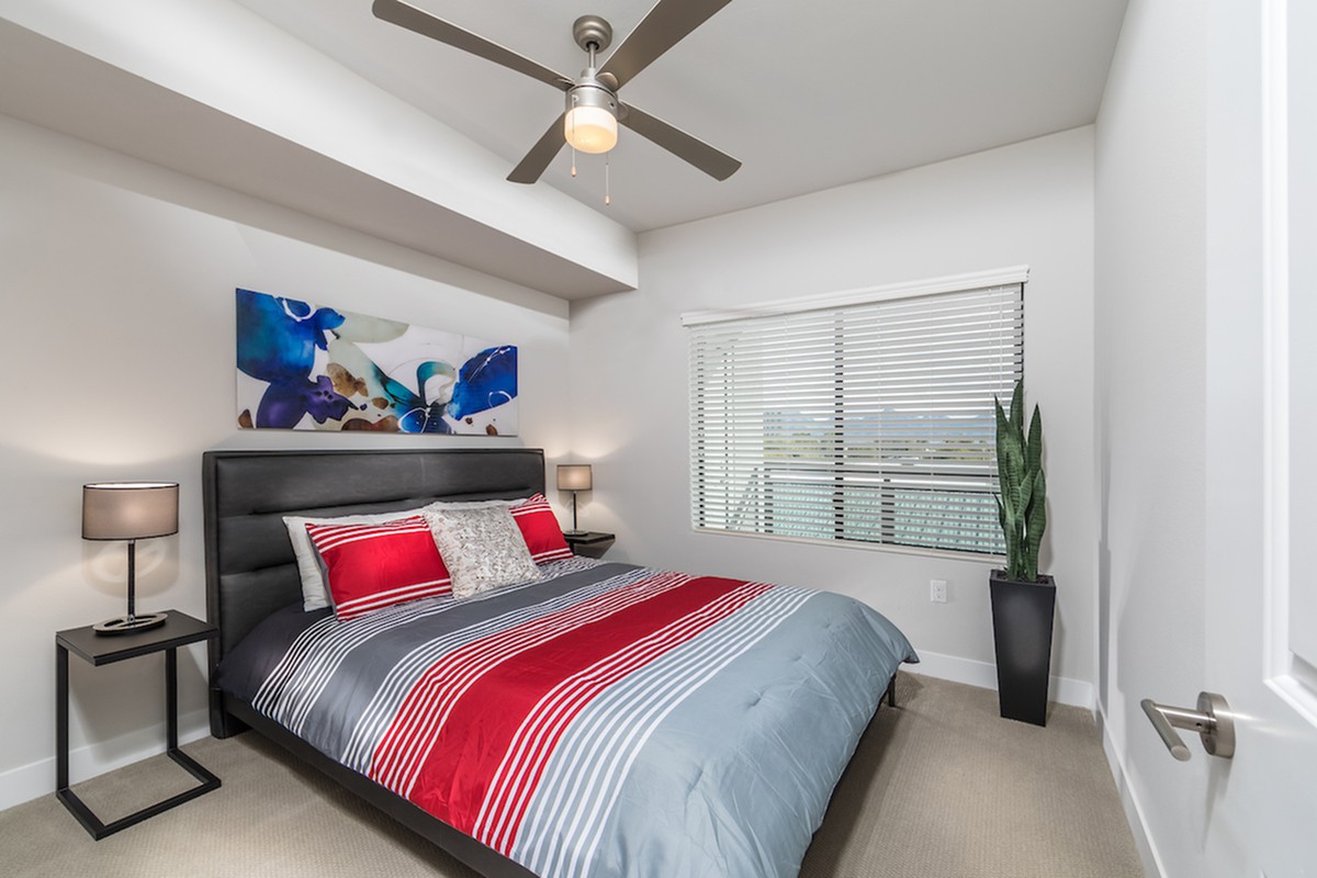 A modern bedroom featuring striped bedding, artwork on the wall, a ceiling fan, and an indoor plant, illuminated by natural light from a large window.