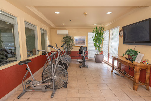 A bright and spacious gym area featuring exercise bikes and greenery.