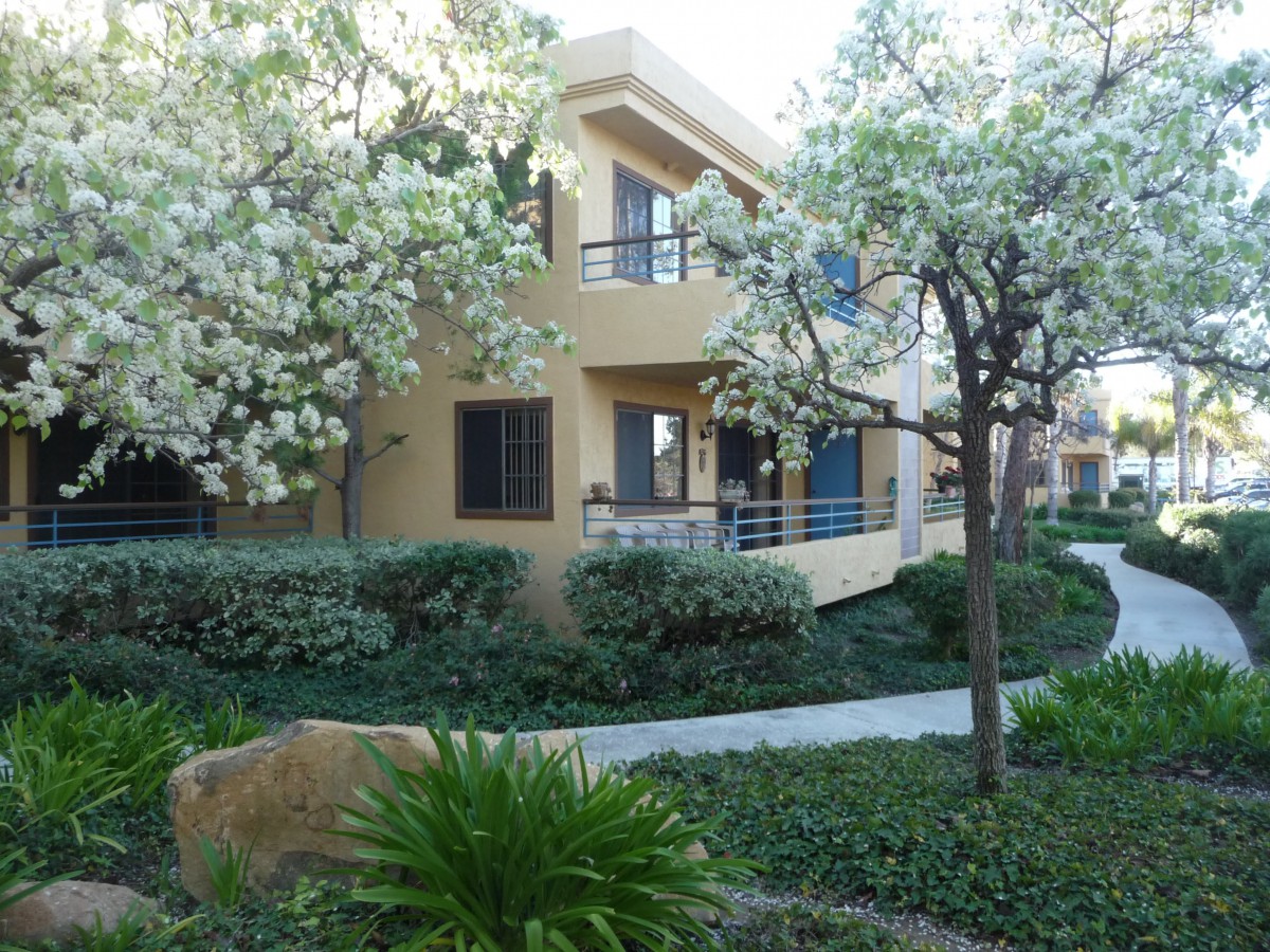 The Gateway & Gateway Gardens