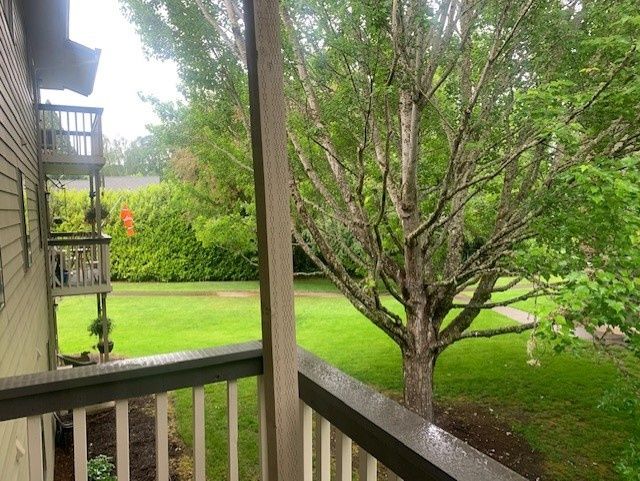 A view from the porch overlooking a lush garden with trees and grass.