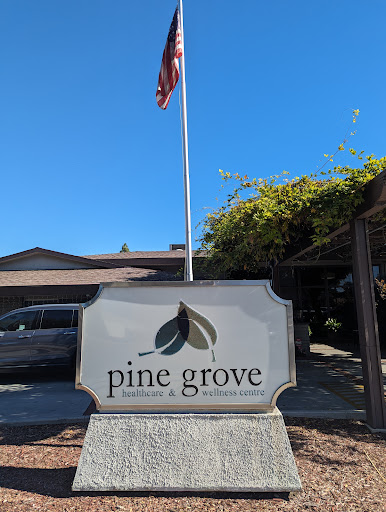 The entrance sign for Pine Grove, featuring an American flag and a clear blue sky.