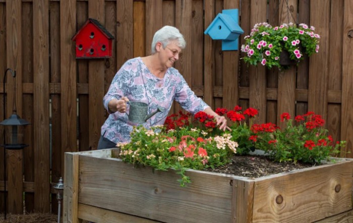 An elderly woman waters flowers in a raised garden bed, surrounded by colorful birdhouses.