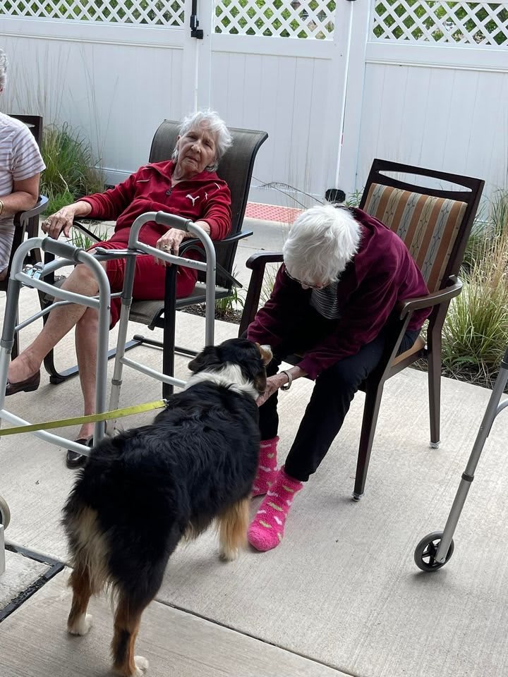 Two seniors sitting outdoors interacting with a dog.
