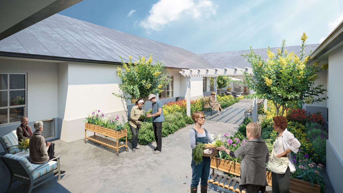 A community garden where people are tending to plants on a sunny day.
