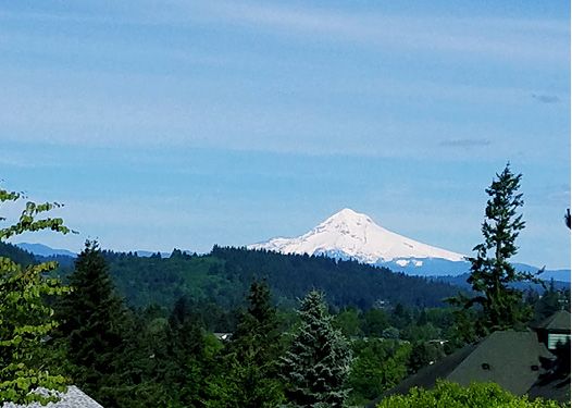 A scenic view of a snow-capped mountain surrounded by lush green trees.